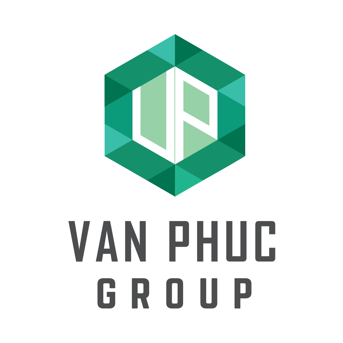 lĩnh vực hoạt động